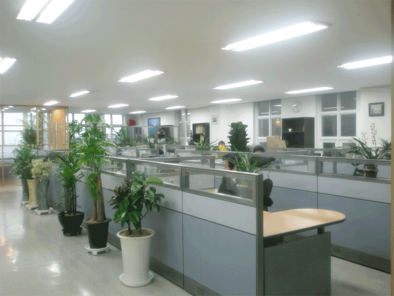 Sun Marine Corporation – Pusan Office!!